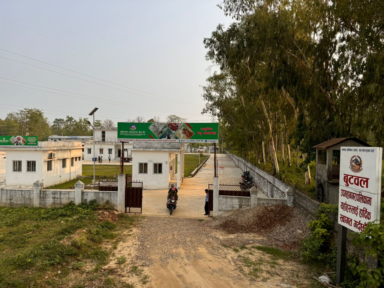 बुटवलको पशु बधशालाले मासु व्यवसायीलाई ८ सय रुपैयाँ किलो मासु दिने