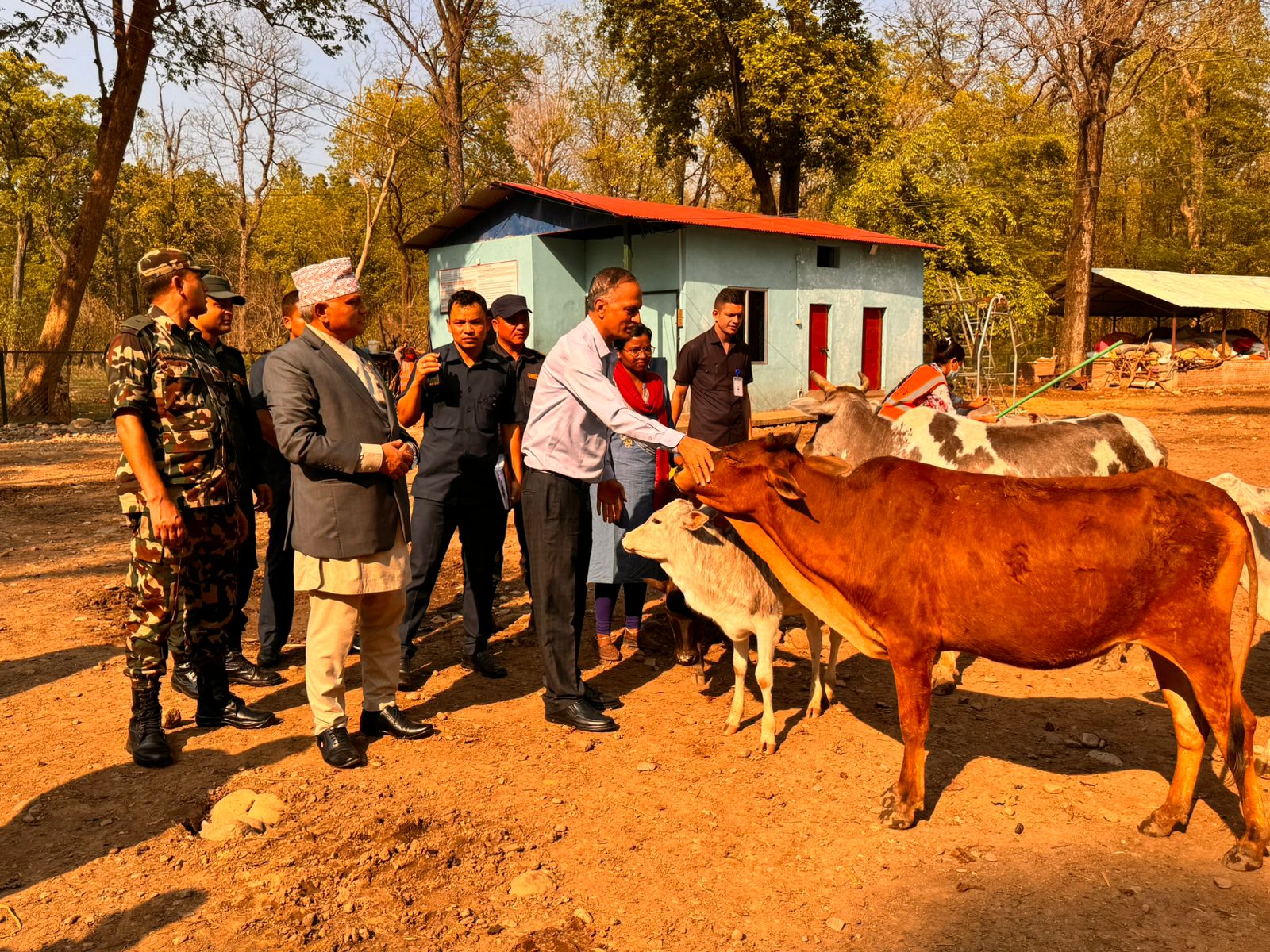 छाडा चौपाया व्यवस्थापनमा प्रदेशले चासो दिन्छ: मुख्यमन्त्री महरा